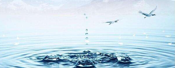 總結(jié)十六點水污染分析指標